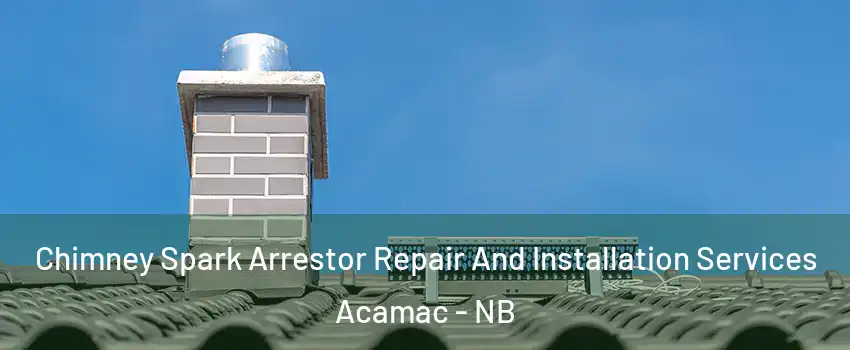  Chimney Spark Arrestor Repair And Installation Services Acamac - NB