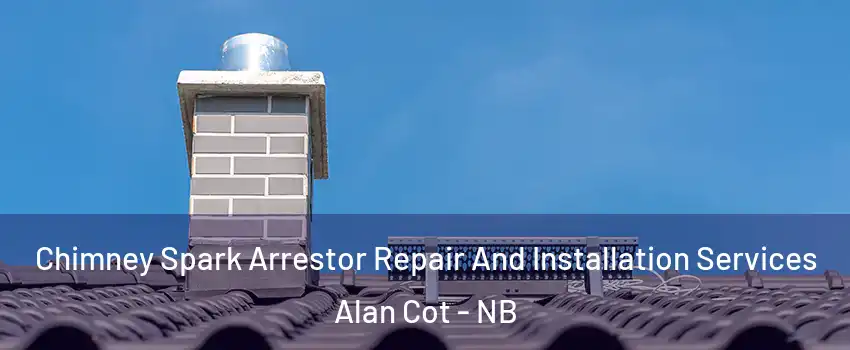  Chimney Spark Arrestor Repair And Installation Services Alan Cot - NB