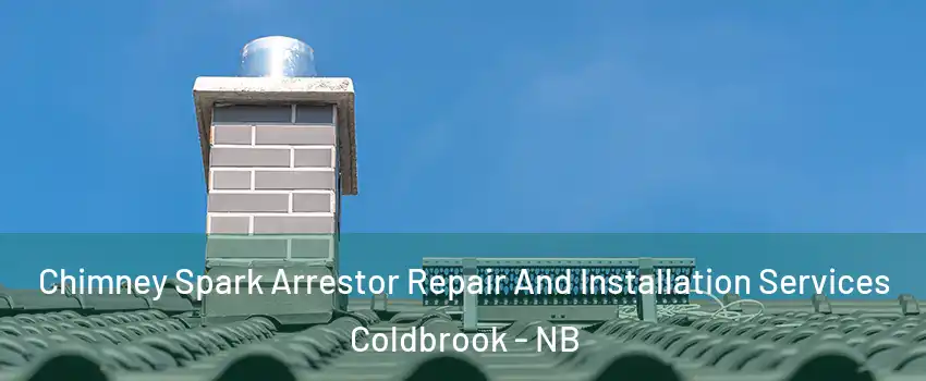  Chimney Spark Arrestor Repair And Installation Services Coldbrook - NB