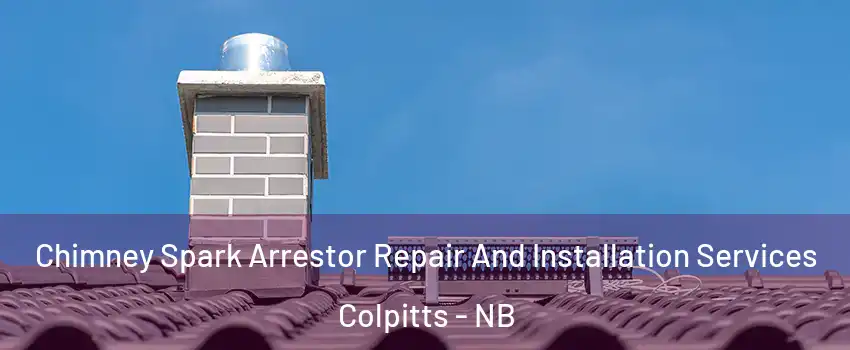  Chimney Spark Arrestor Repair And Installation Services Colpitts - NB