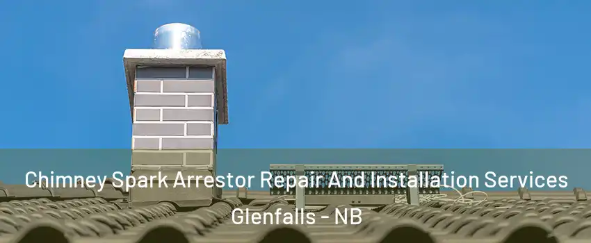  Chimney Spark Arrestor Repair And Installation Services Glenfalls - NB