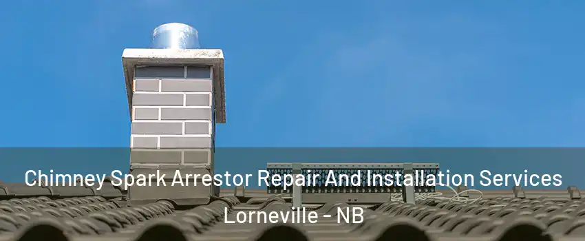  Chimney Spark Arrestor Repair And Installation Services Lorneville - NB