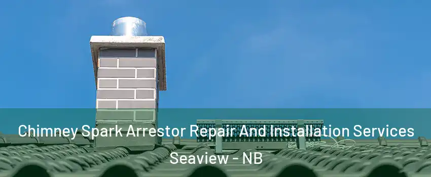  Chimney Spark Arrestor Repair And Installation Services Seaview - NB
