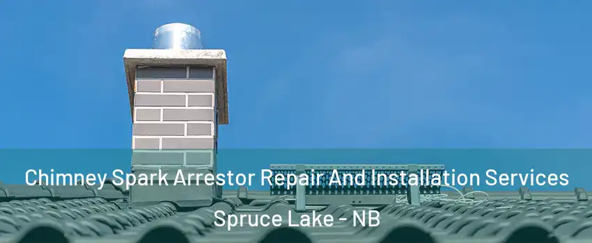  Chimney Spark Arrestor Repair And Installation Services Spruce Lake - NB