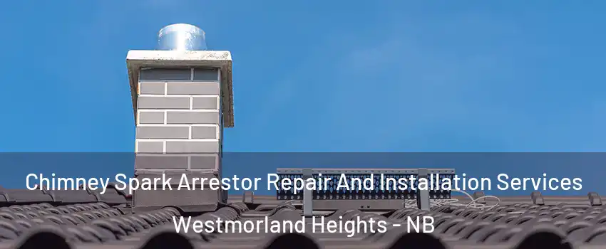  Chimney Spark Arrestor Repair And Installation Services Westmorland Heights - NB