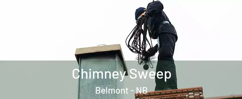  Chimney Sweep Belmont - NB