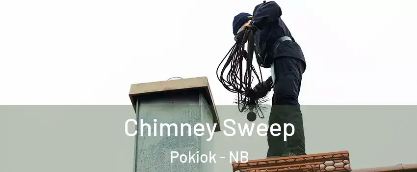  Chimney Sweep Pokiok - NB
