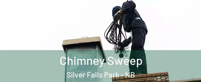  Chimney Sweep Silver Falls Park - NB