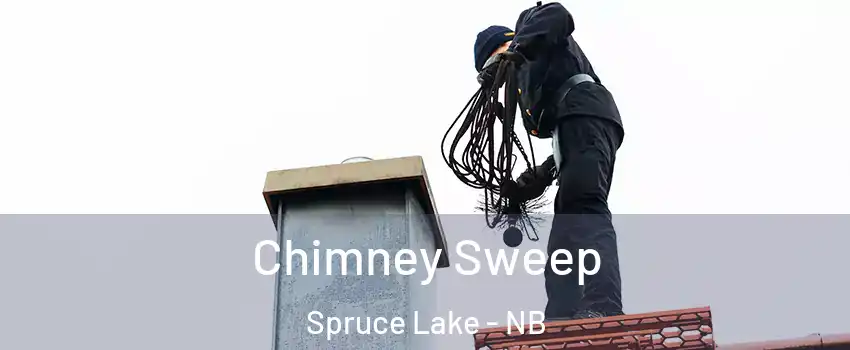  Chimney Sweep Spruce Lake - NB