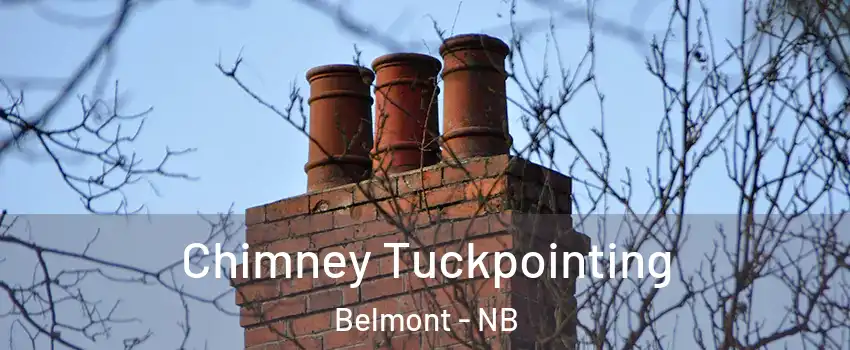  Chimney Tuckpointing Belmont - NB