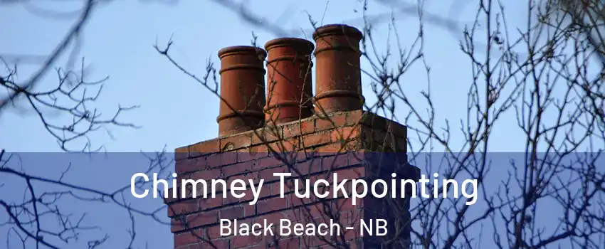  Chimney Tuckpointing Black Beach - NB