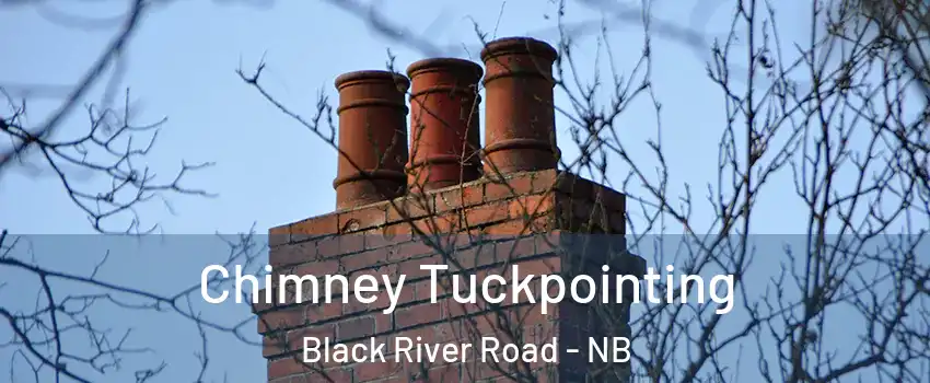  Chimney Tuckpointing Black River Road - NB