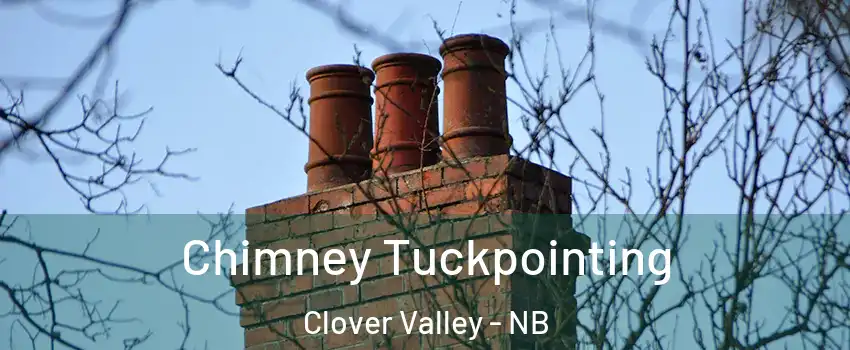  Chimney Tuckpointing Clover Valley - NB