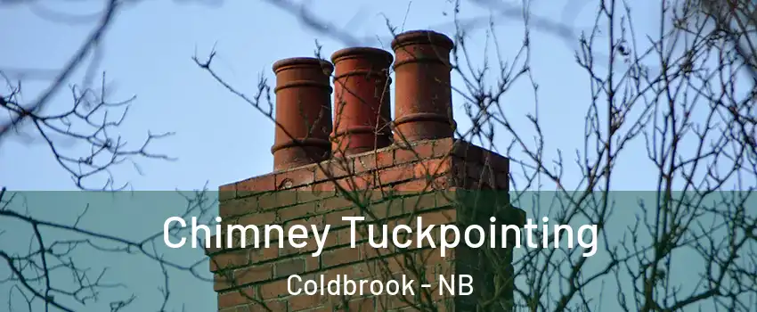  Chimney Tuckpointing Coldbrook - NB