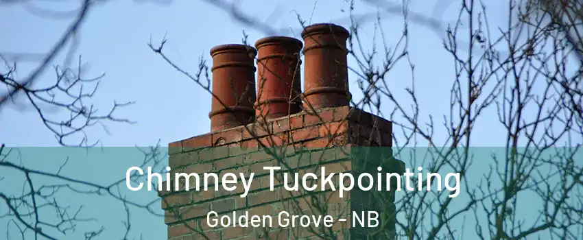  Chimney Tuckpointing Golden Grove - NB