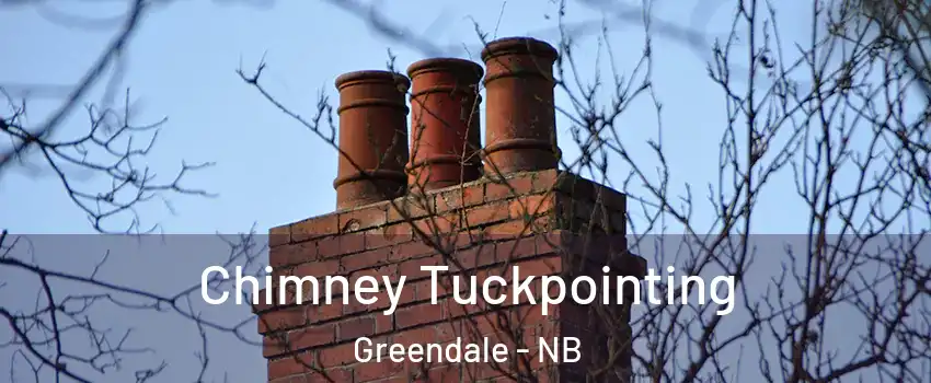  Chimney Tuckpointing Greendale - NB