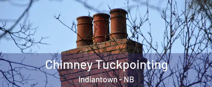 Chimney Tuckpointing Indiantown - NB