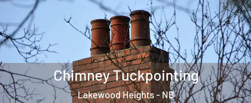  Chimney Tuckpointing Lakewood Heights - NB