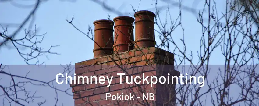  Chimney Tuckpointing Pokiok - NB