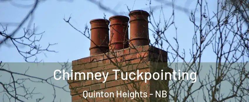  Chimney Tuckpointing Quinton Heights - NB