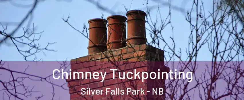  Chimney Tuckpointing Silver Falls Park - NB