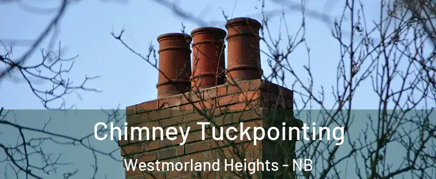  Chimney Tuckpointing Westmorland Heights - NB