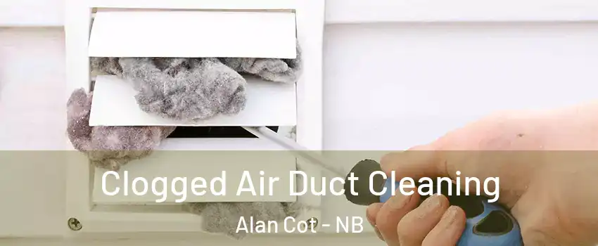  Clogged Air Duct Cleaning Alan Cot - NB