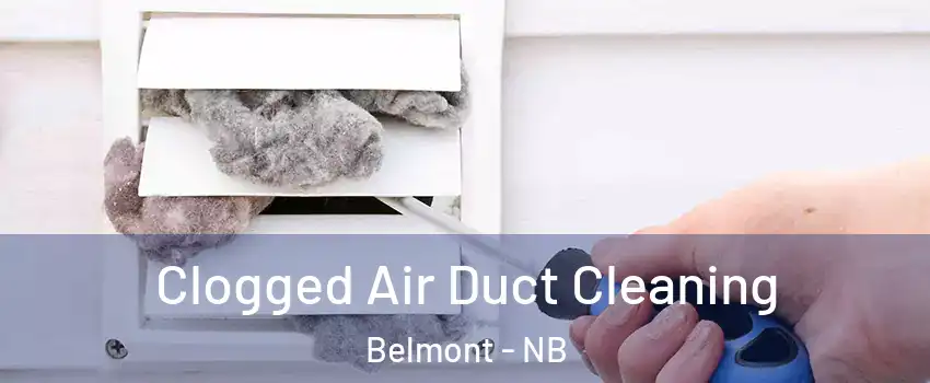  Clogged Air Duct Cleaning Belmont - NB