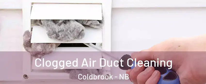  Clogged Air Duct Cleaning Coldbrook - NB