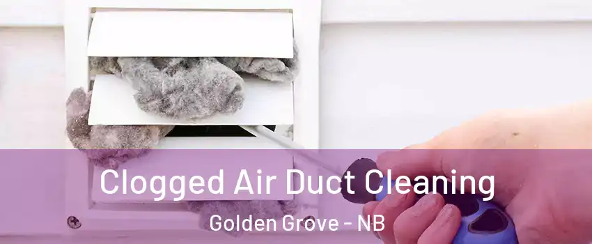  Clogged Air Duct Cleaning Golden Grove - NB