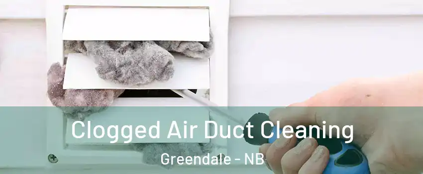  Clogged Air Duct Cleaning Greendale - NB