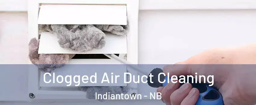  Clogged Air Duct Cleaning Indiantown - NB