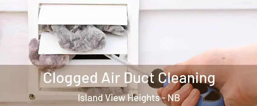  Clogged Air Duct Cleaning Island View Heights - NB