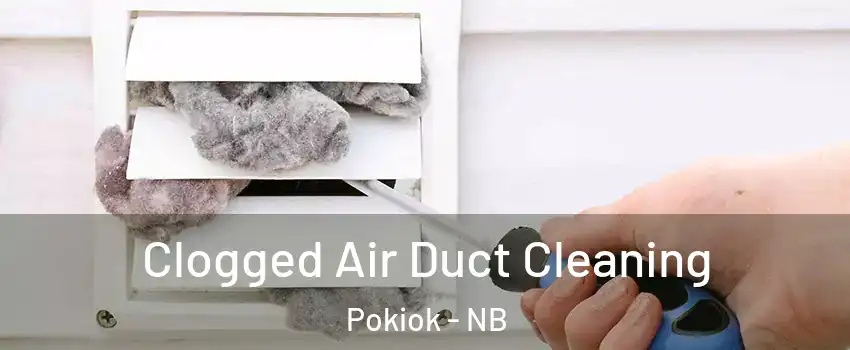  Clogged Air Duct Cleaning Pokiok - NB