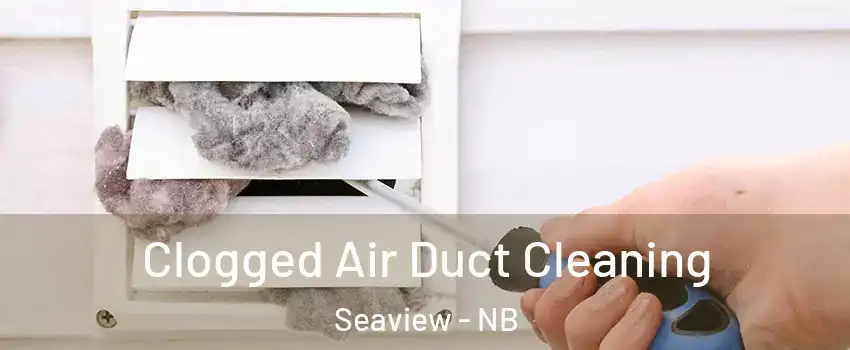 Clogged Air Duct Cleaning Seaview - NB