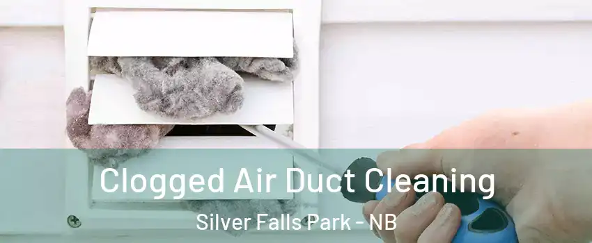  Clogged Air Duct Cleaning Silver Falls Park - NB