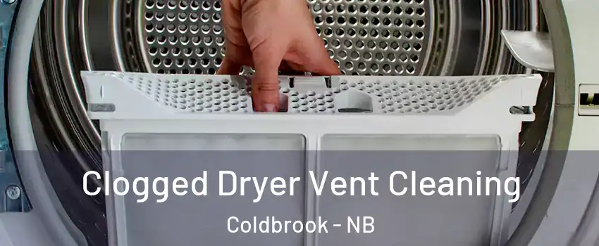  Clogged Dryer Vent Cleaning Coldbrook - NB