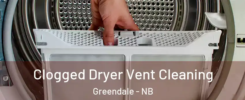  Clogged Dryer Vent Cleaning Greendale - NB