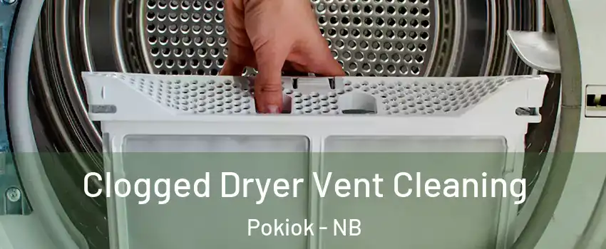  Clogged Dryer Vent Cleaning Pokiok - NB