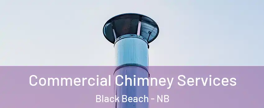  Commercial Chimney Services Black Beach - NB