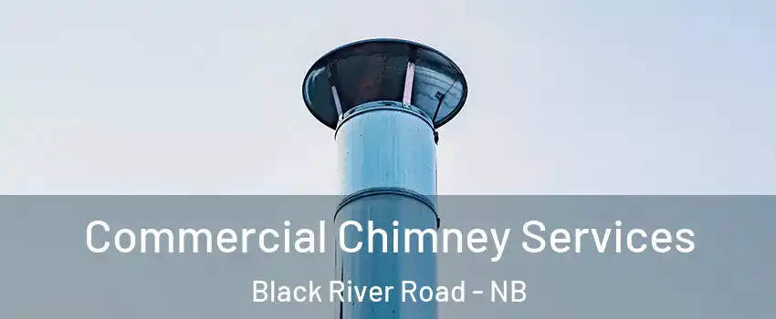 Commercial Chimney Services Black River Road - NB