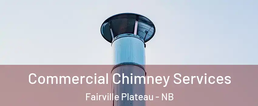  Commercial Chimney Services Fairville Plateau - NB