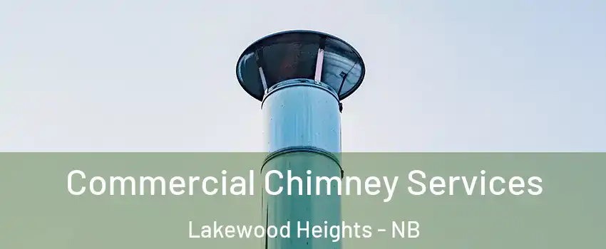  Commercial Chimney Services Lakewood Heights - NB