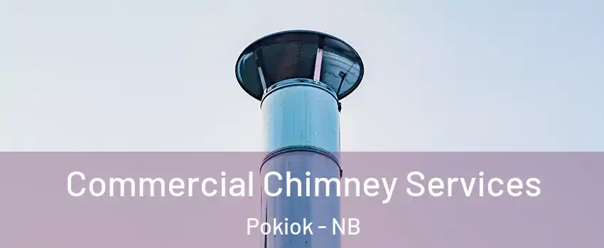  Commercial Chimney Services Pokiok - NB