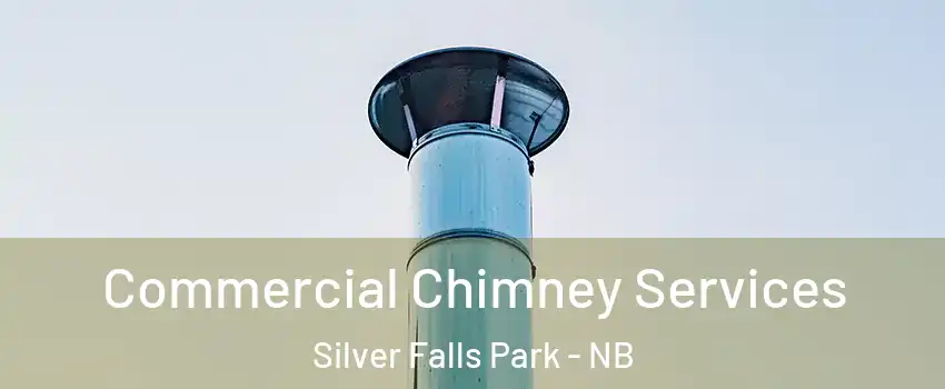  Commercial Chimney Services Silver Falls Park - NB