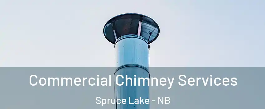  Commercial Chimney Services Spruce Lake - NB