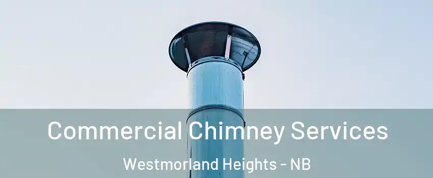  Commercial Chimney Services Westmorland Heights - NB