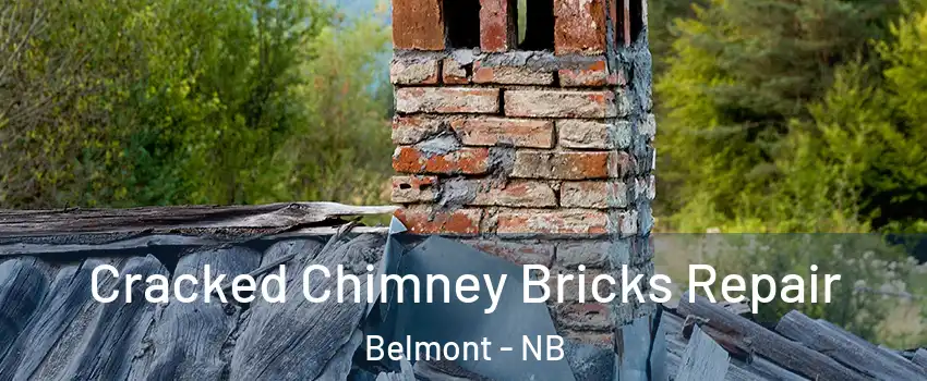  Cracked Chimney Bricks Repair Belmont - NB