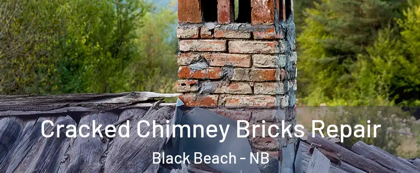 Cracked Chimney Bricks Repair Black Beach - NB