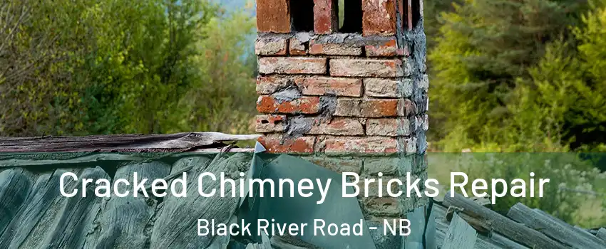  Cracked Chimney Bricks Repair Black River Road - NB